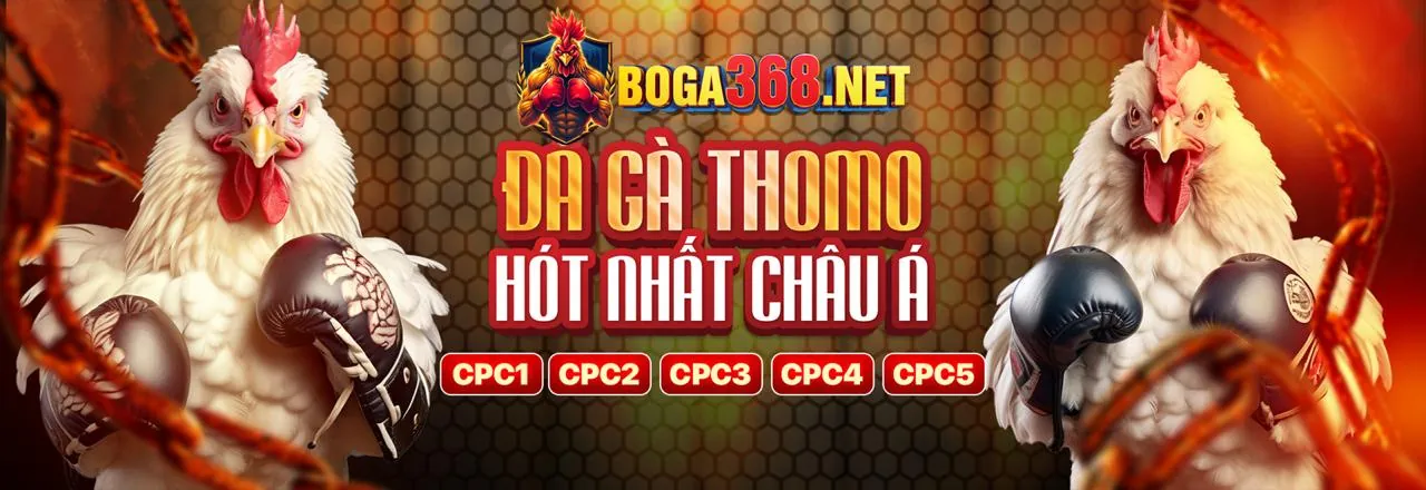 Hoàn trả thể thao jj8 casino